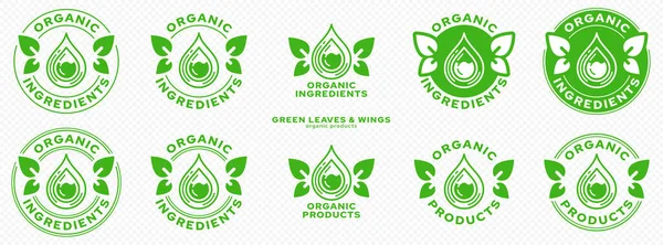 Ürün Ambalajı Için Kavramsal Işaretler Etiketleme Organik Bileşenler Kanatlı Yaprakları Telifsiz Stok Vektörler