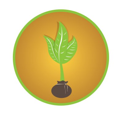 Spa simge tasarlamak