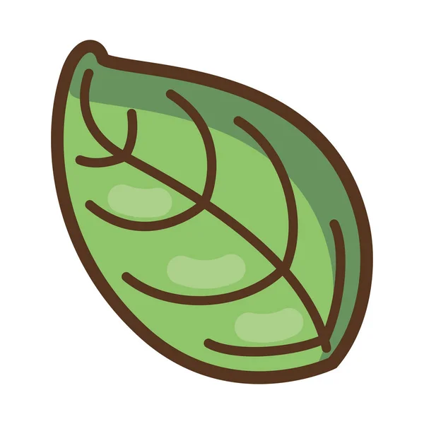 Izolovaný přírodní zelený list ikona — Stockový vektor