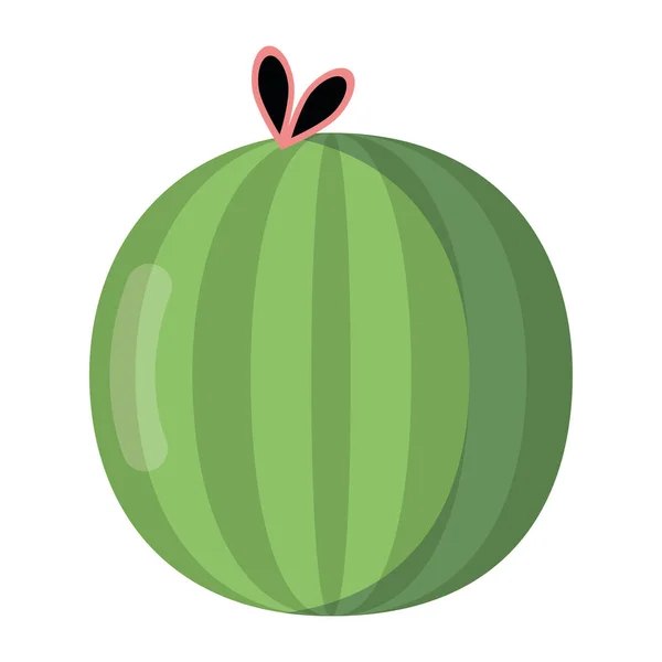 Ícone de melancia verde isolado — Vetor de Stock