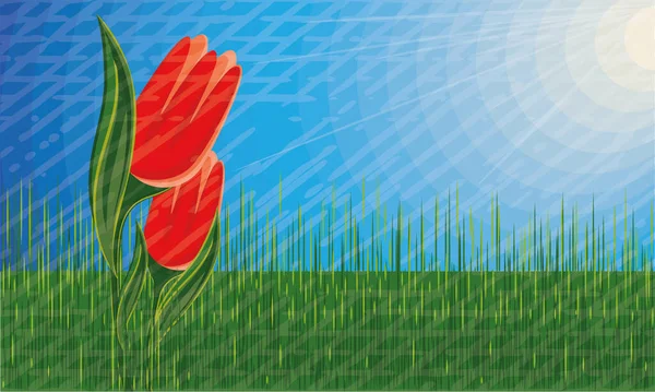 Tulipanes en un día soleado Paisaje de verano — Vector de stock