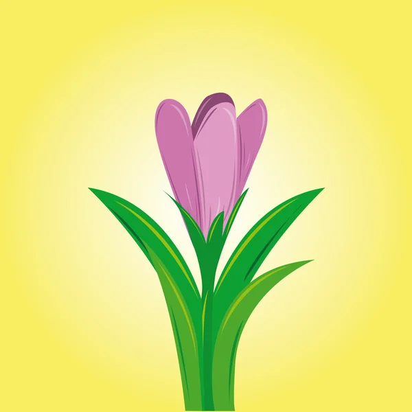 Flores — Vector de stock