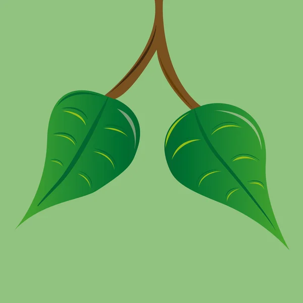 Leaf — Stock Vector