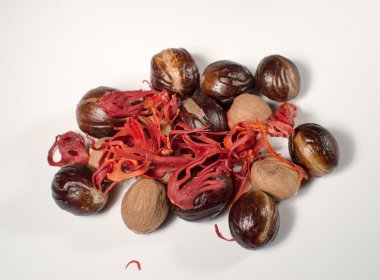 Mace ile Hindistan cevizi