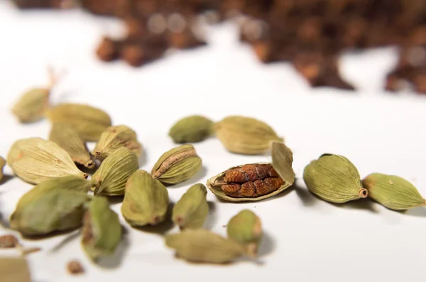 Cardamom an cloves close up — Stock Photo, Image