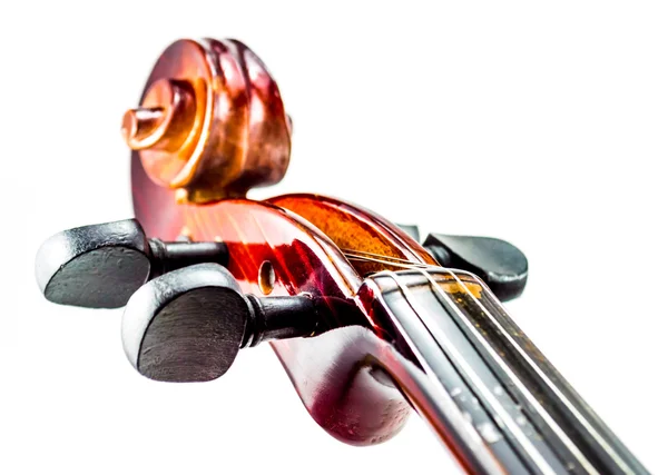 Testa di violino, Pergamena per violino da vicino — Foto Stock