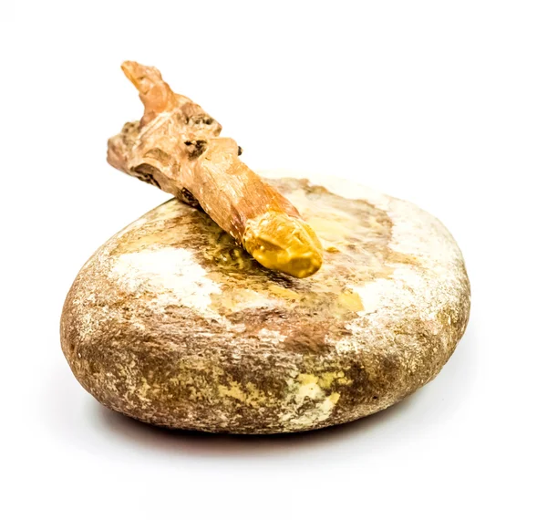 Сандаловое дерево и круглый камень — стоковое фото