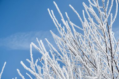 Yatay kış fotoğrafı.