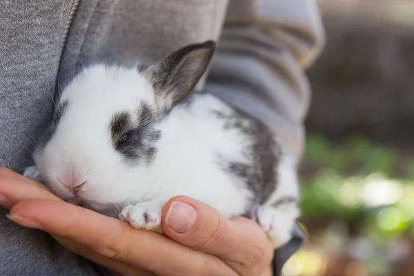 Kvinna med kanin bunny — Stockfoto