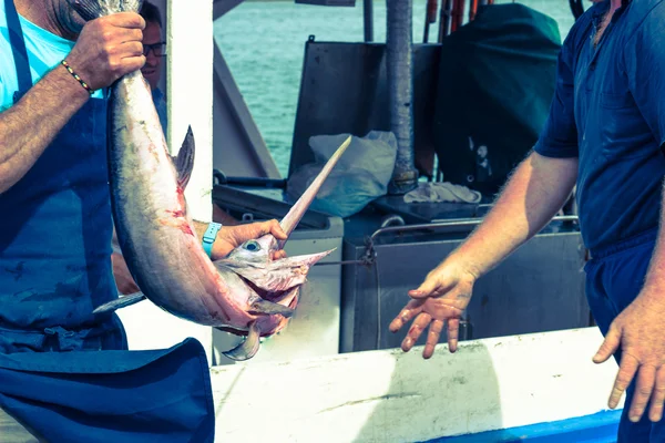 Balık ile balıkçılar