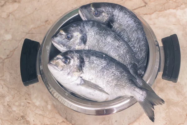 Poisson frais dans la casserole — Photo