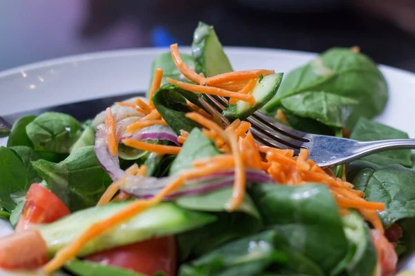 Primo piano dell'insalata — Foto Stock