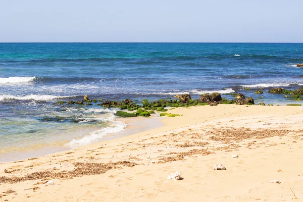 Kamenné moře pláž krajina — Stock fotografie