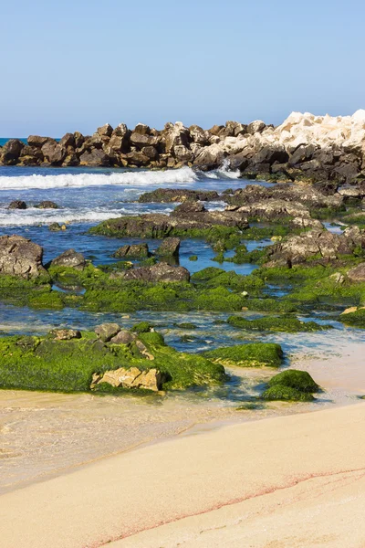 Rocky sea beach landscape — Stock Photo, Image