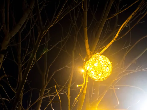 Χριστουγεννιάτικη Μπάλα Φωτός Στο Κλαδί Δέντρου Χριστούγεννα Χριστουγεννιάτικη Διακόσμηση Μαύρο — Φωτογραφία Αρχείου