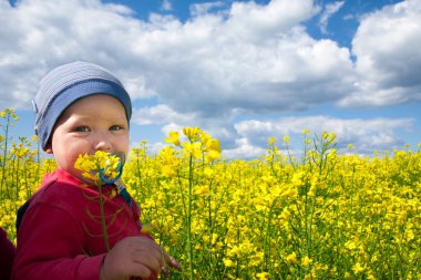 Kırmızı tişörtlü ve ağzında emzik olan bir yaşındaki bir çocuk yeşil buğday tarlasında..