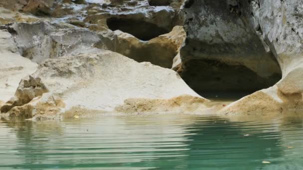 Kotli Istrien Kroatien Mirna Das Wasser Fließt Felsigen Flussbett Des — Stockvideo