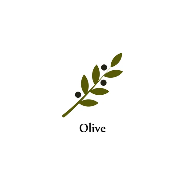 Isolated green vector olive branch logo. Olive oil sign. Symbol of peace. Greek religious sign. Mythological icon.Healthy products label. Organic cosmetics. Eco food. Natural element.Agricultural item — Stock Vector