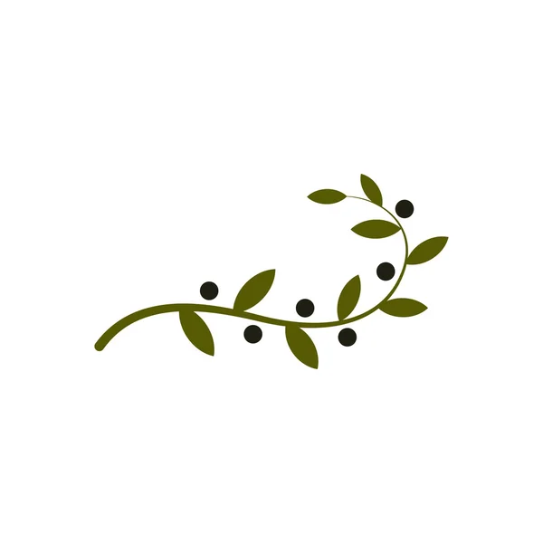 Pojedyncze logo gałęzi oliwy z oliwek. Logotyp oleju. Ikona naturalnych produktów zdrowych. — Wektor stockowy