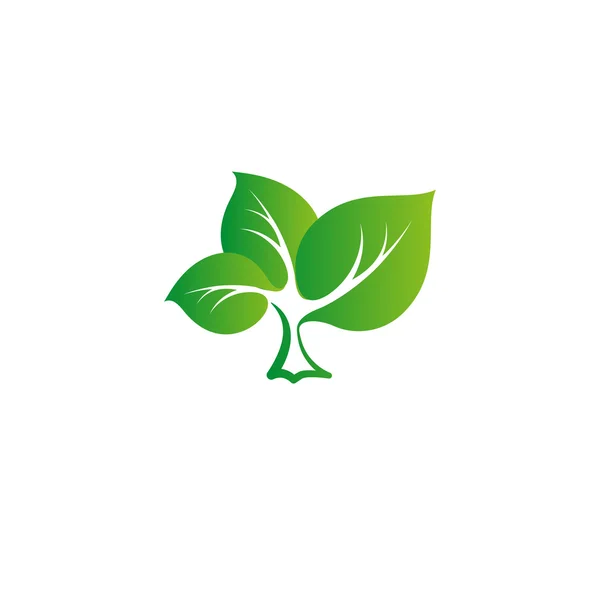 Geïsoleerde abstracte groene kleur boom vector logo. Bladeren op een sterke stam van een plant. Biologische producten vector illustratie. — Stockvector