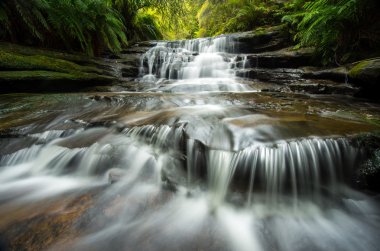Mavi dağlarda leura cascades.