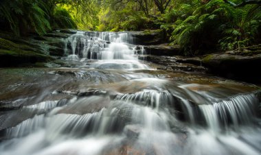 Mavi dağlarda leura cascades.