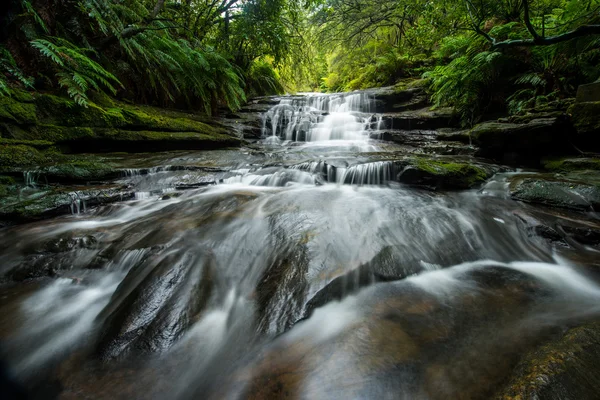 Mavi dağlarda leura cascades. — Stok fotoğraf