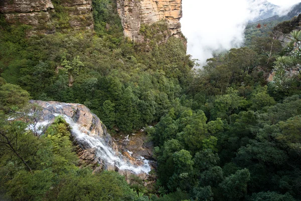 Leura cascades in Blue mountains. — Stockfoto