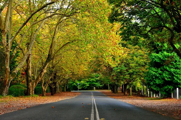 Colorido paisaje y carretera —  Fotos de Stock