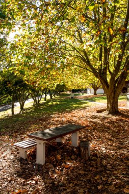 tezgah parkı tablo ile 