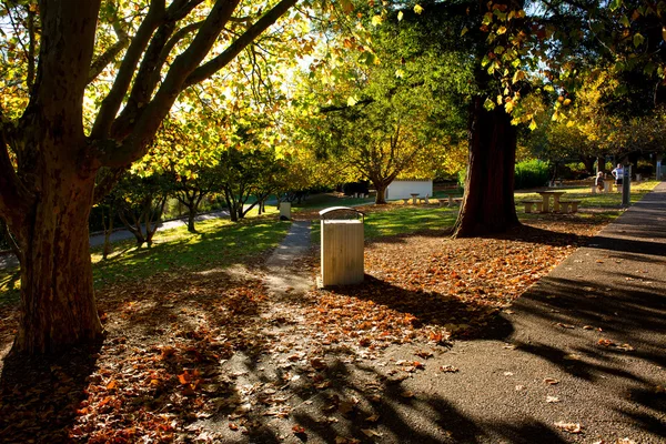 Bancos con mesa en el parque —  Fotos de Stock