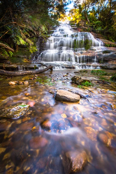 Waterval in de Blue mountains national park — Stockfoto