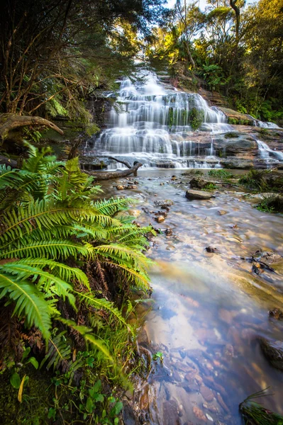 Waterval in de Blue mountains national park — Stockfoto