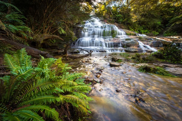 Wasserfall im Blue Mountains Nationalpark — Stockfoto
