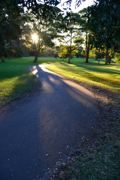 Hermoso parque en Sydney . —  Fotos de Stock