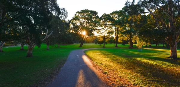 Hermoso parque en Sydney . —  Fotos de Stock