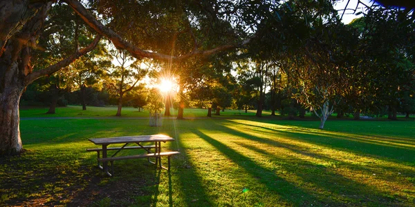 Hermoso parque en Sydney . —  Fotos de Stock