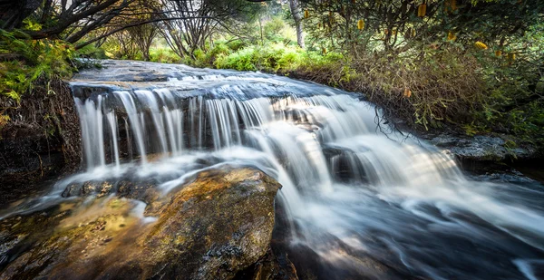 蓝山国家公园的瀑布 — 图库照片