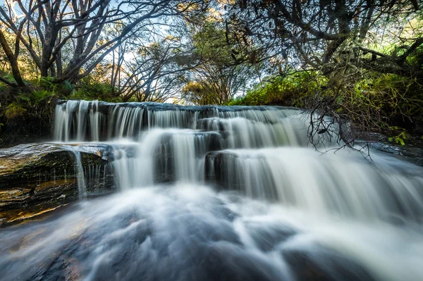 Wodospady w Blue Mountains national park — Zdjęcie stockowe