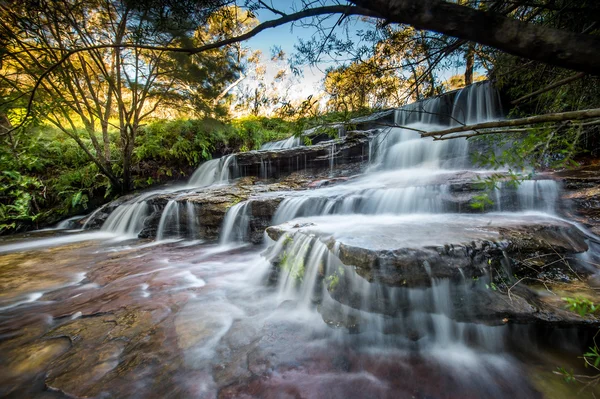 Cachoeiras no parque nacional Blue Mountains — Fotografia de Stock