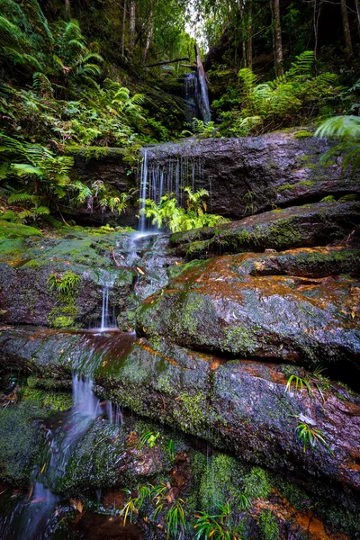 Wodospady w Blue Mountains national park — Zdjęcie stockowe