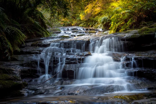 Vodopády v národním parku Blue Mountains — Stock fotografie