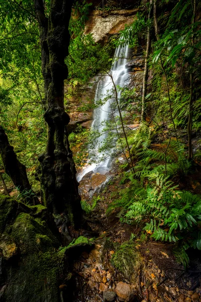 Waterfalls in Blue Mountains national park — Stock Photo, Image