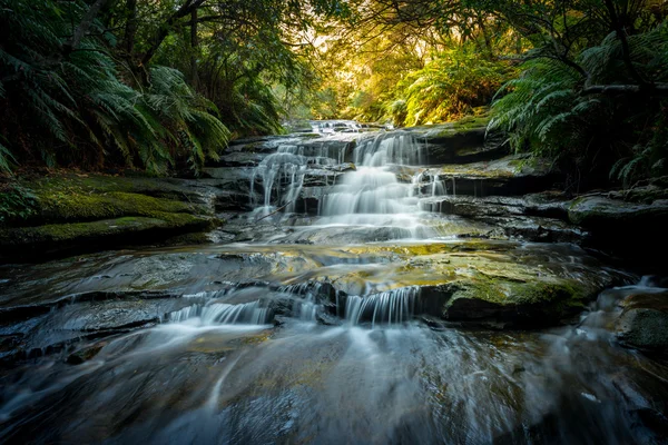 Wodospady w Blue Mountains national park — Zdjęcie stockowe