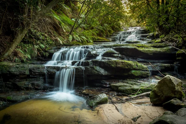Waterfalls in Blue Mountains national park — Stock Photo, Image