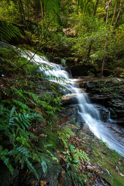 Cascate nel parco nazionale delle Blue Mountains Immagine Stock