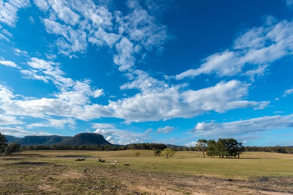 Blue mountains nationalpark australien. — Stockfoto