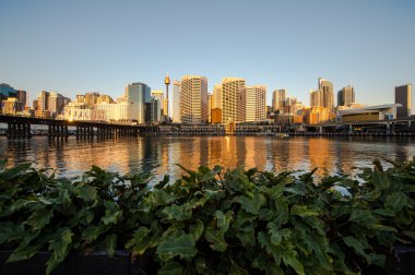 Darling harbour de sydney