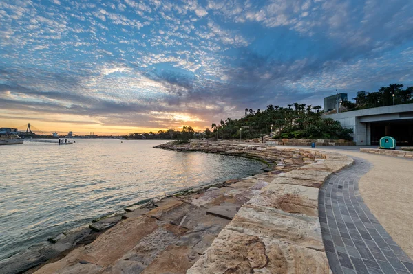 Barangaroo reserve, Sydney-ben — Stock Fotó