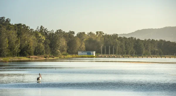 Langes Uferreservat — Stockfoto